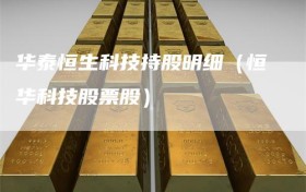华泰恒生科技持股明细（恒华科技股票股）