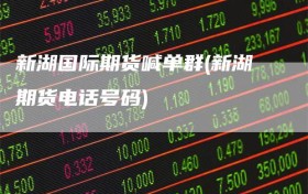 新湖国际期货喊单群(新湖期货电话号码)