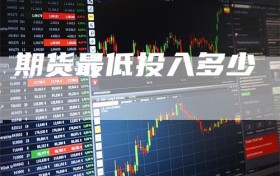 期货最低投入多少