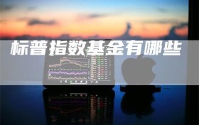 标普指数基金有哪些