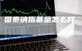 国泰纳指基金怎么样