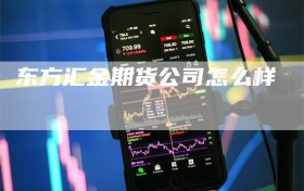 东方汇金期货公司怎么样