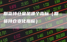 期货持仓量是哪个指标（期货持仓变化指标）