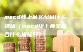 macd线上金叉配合什么指标（macd线上金叉配合什么指标好）