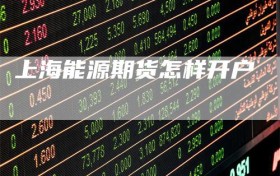 上海能源期货怎样开户
