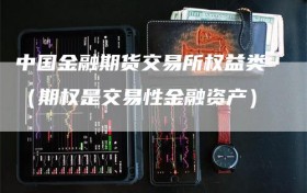 中国金融期货交易所权益类（期权是交易性金融资产）