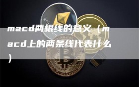 macd两根线的意义（macd上的两条线代表什么）