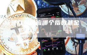 标普红利对应哪个指数基金