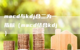 macd与kdj合二为一指标（macd结合kdj）