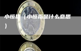 小恒指（小恒指是什么意思）