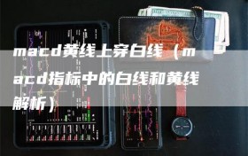 macd黄线上穿白线（macd指标中的白线和黄线解析）