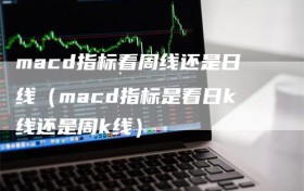 macd指标看周线还是日线（macd指标是看日k线还是周k线）