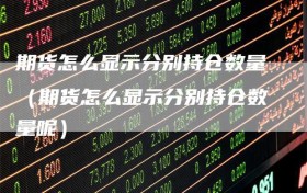 期货怎么显示分别持仓数量（期货怎么显示分别持仓数量呢）