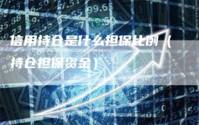 信用持仓是什么担保比例（持仓担保资金）
