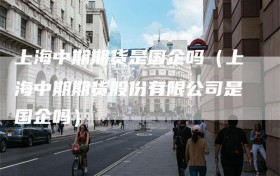 上海中期期货是国企吗（上海中期期货股份有限公司是国企吗）