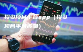 投资项目平台app（投资项目平台被骗）