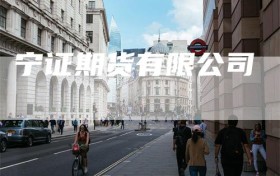 宁证期货有限公司