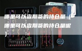哪里可以查期货的持仓量（哪里可以查期货的持仓量呢）