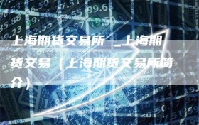 上海期货交易所 _上海期货交易（上海期货交易所简介）