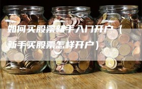 如何买股票新手入门开户（新手买股票怎样开户）