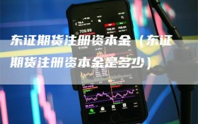 东证期货注册资本金（东证期货注册资本金是多少）