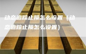 动态追踪止损怎么设置（动态追踪止损怎么设置）