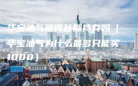华宝油气值得长期持有吗（华宝油气为什么最多只能买1000）