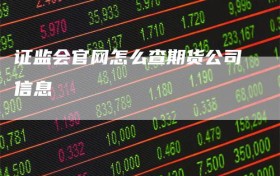 证监会官网怎么查期货公司信息