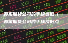 哪家期货公司的手续费低（哪家期货公司的手续费低点）