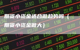 期货小资金适合做趋势吗（期货小资金做大）
