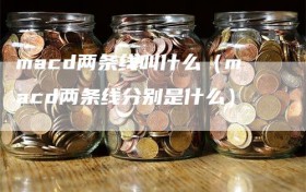 macd两条线叫什么（macd两条线分别是什么）