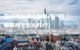 期货可以网上自助开户吗（期货网上怎么开户）