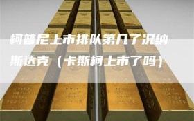 柯普尼上市排队第几了况纳斯达克（卡斯柯上市了吗）