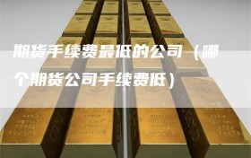 期货手续费最低的公司（哪个期货公司手续费低）