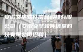 安徽文华软件信息科技有限公司（安徽文华软件信息科技有限公司招聘）