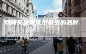 期货交易保证金最少的品种