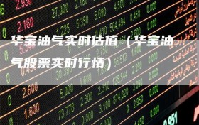 华宝油气实时估值（华宝油气股票实时行情）