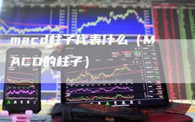 macd柱子代表什么（MACD的柱子）