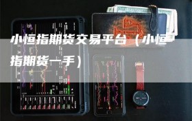 小恒指期货交易平台（小恒指期货一手）