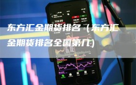 东方汇金期货排名（东方汇金期货排名全国第几）