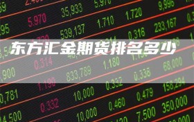 东方汇金期货排名多少