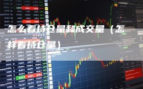 怎么看持仓量和成交量（怎样看持仓量）