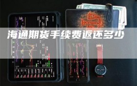海通期货手续费返还多少