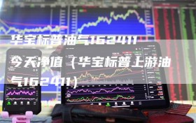 华宝标普油气162411今天净值（华宝标普上游油气162411）
