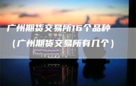 广州期货交易所16个品种（广州期货交易所有几个）