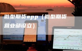 微型期货app（微型期货营业部设立）
