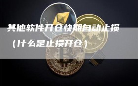 其他软件开仓快期自动止损（什么是止损开仓）