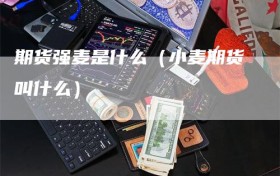 期货强麦是什么（小麦期货叫什么）