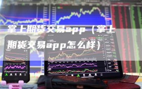 掌上期货交易app（掌上期货交易app怎么样）