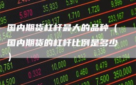 国内期货杠杆最大的品种（国内期货的杠杆比例是多少）